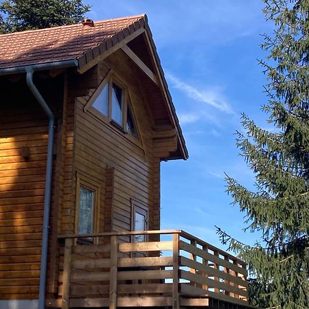 Chalet Authentique Au Calme, En Lisiere De Foret, Montagne, Sentiers 15Mn Gerardmer & Alsace "Chalet Mon Beau Sapin" Anould Buitenkant foto