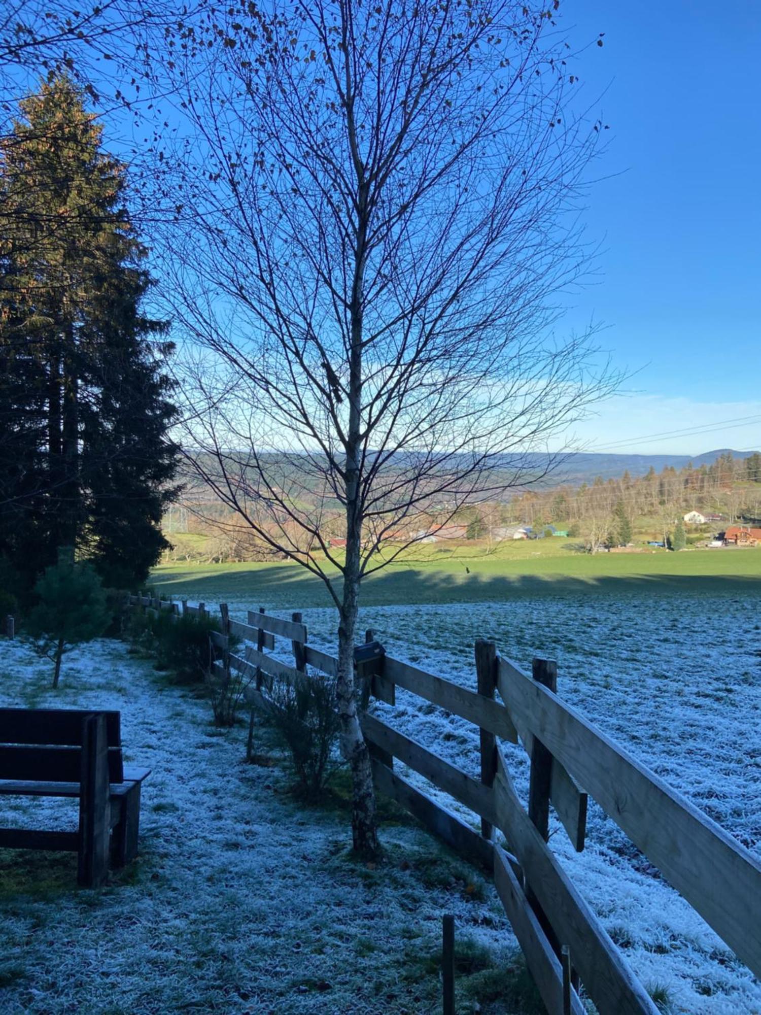 Chalet Authentique Au Calme, En Lisiere De Foret, Montagne, Sentiers 15Mn Gerardmer & Alsace "Chalet Mon Beau Sapin" Anould Buitenkant foto
