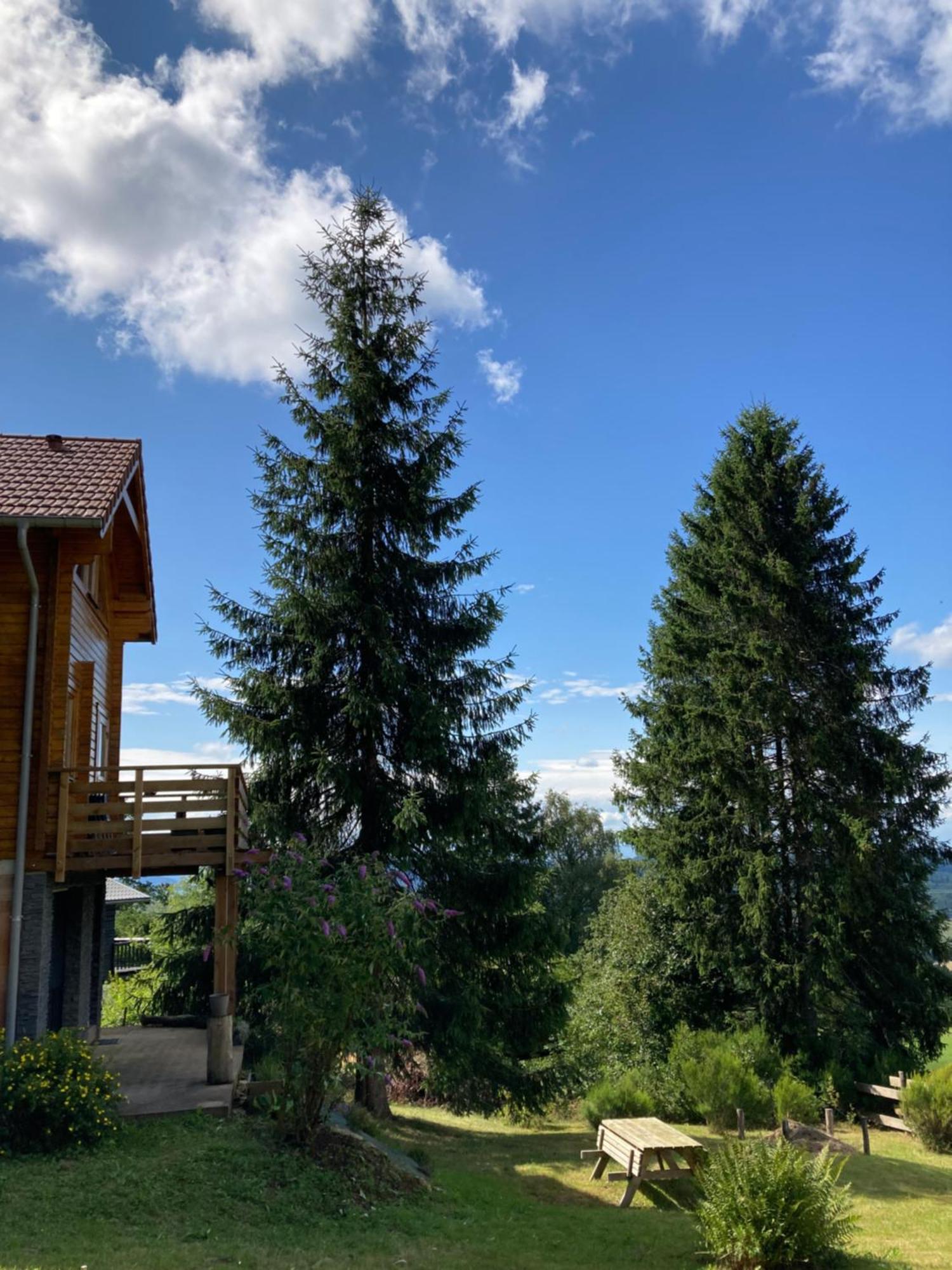 Chalet Authentique Au Calme, En Lisiere De Foret, Montagne, Sentiers 15Mn Gerardmer & Alsace "Chalet Mon Beau Sapin" Anould Buitenkant foto