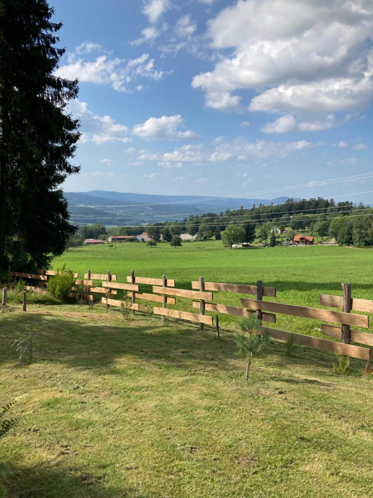 Chalet Authentique Au Calme, En Lisiere De Foret, Montagne, Sentiers 15Mn Gerardmer & Alsace "Chalet Mon Beau Sapin" Anould Buitenkant foto