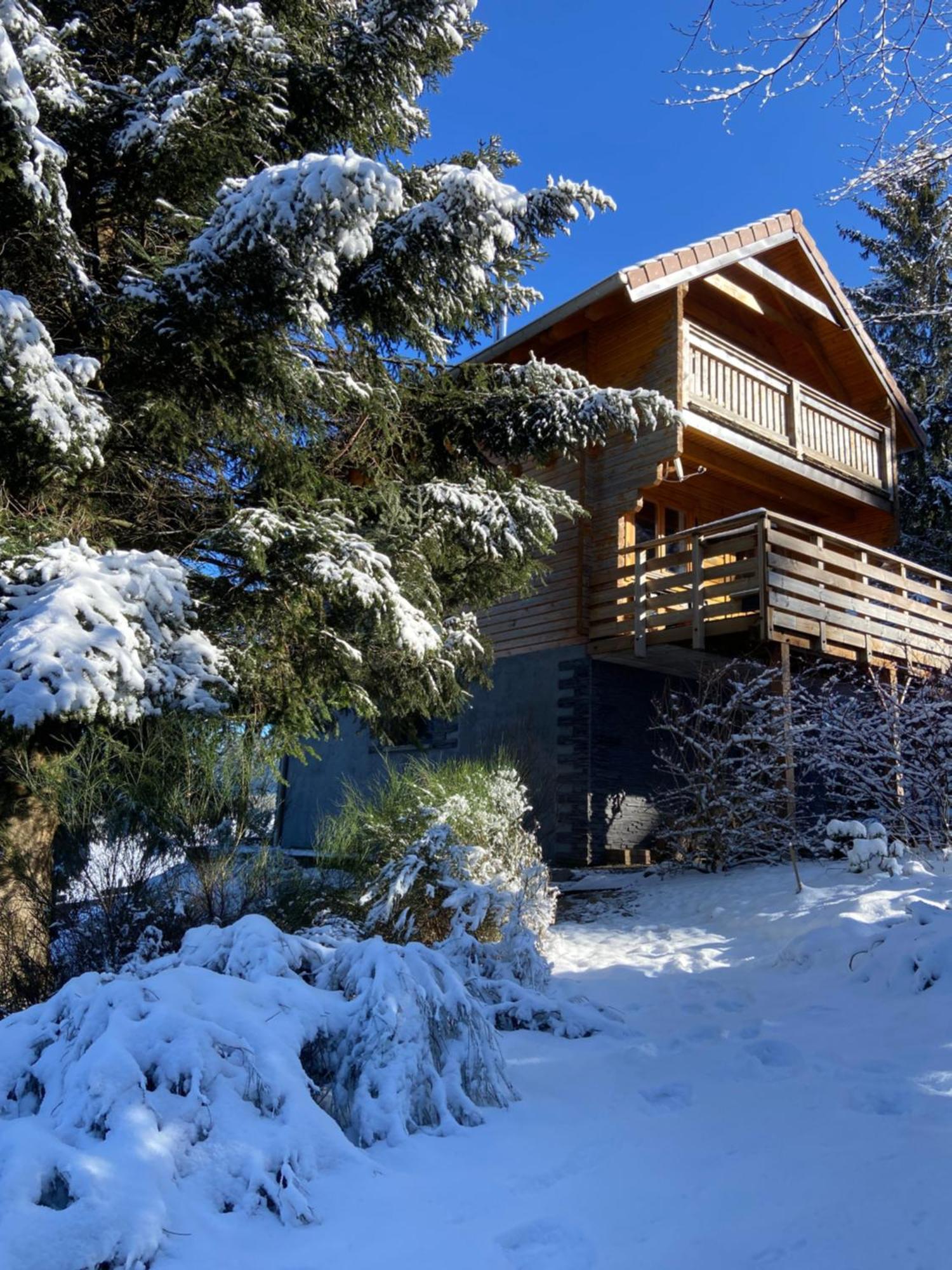 Chalet Authentique Au Calme, En Lisiere De Foret, Montagne, Sentiers 15Mn Gerardmer & Alsace "Chalet Mon Beau Sapin" Anould Buitenkant foto