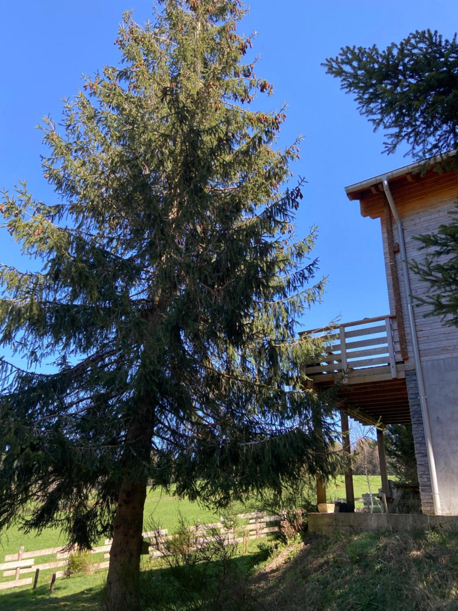 Chalet Authentique Au Calme, En Lisiere De Foret, Montagne, Sentiers 15Mn Gerardmer & Alsace "Chalet Mon Beau Sapin" Anould Buitenkant foto