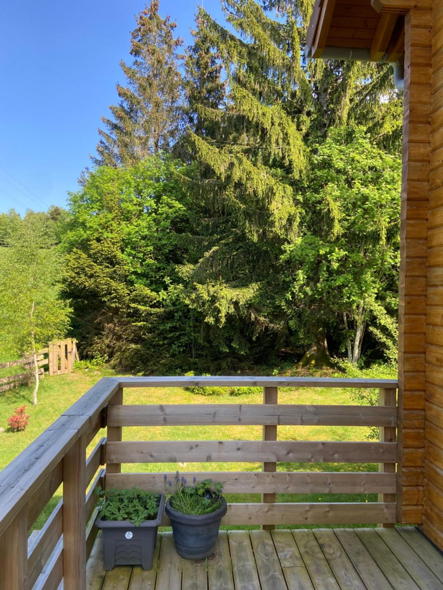 Chalet Authentique Au Calme, En Lisiere De Foret, Montagne, Sentiers 15Mn Gerardmer & Alsace "Chalet Mon Beau Sapin" Anould Buitenkant foto